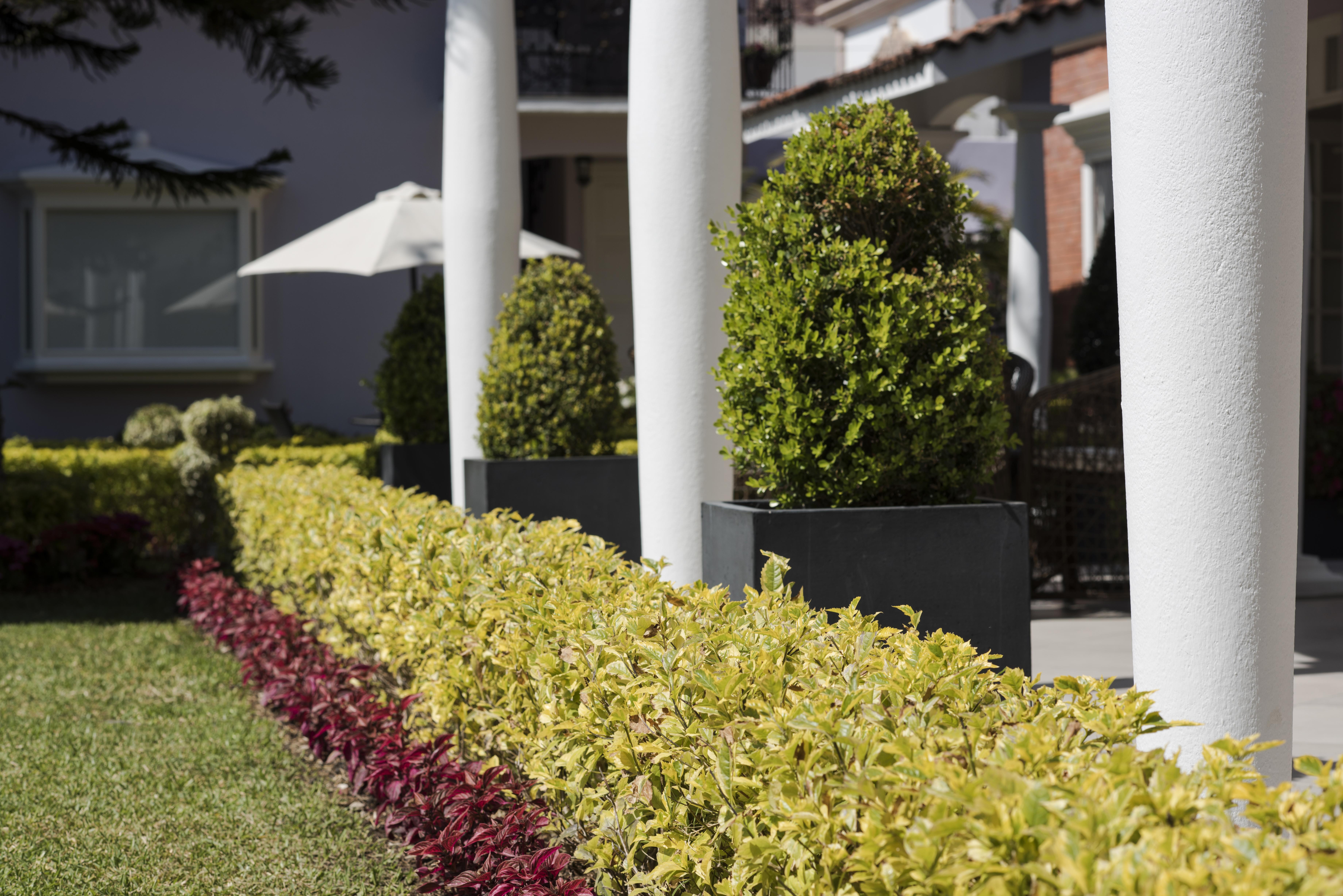 Oaxaca Casa Bonita Hotel & Cocina מראה חיצוני תמונה